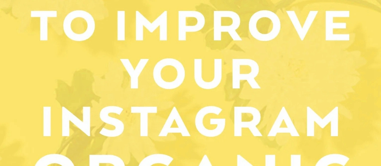 organic reach mastery training