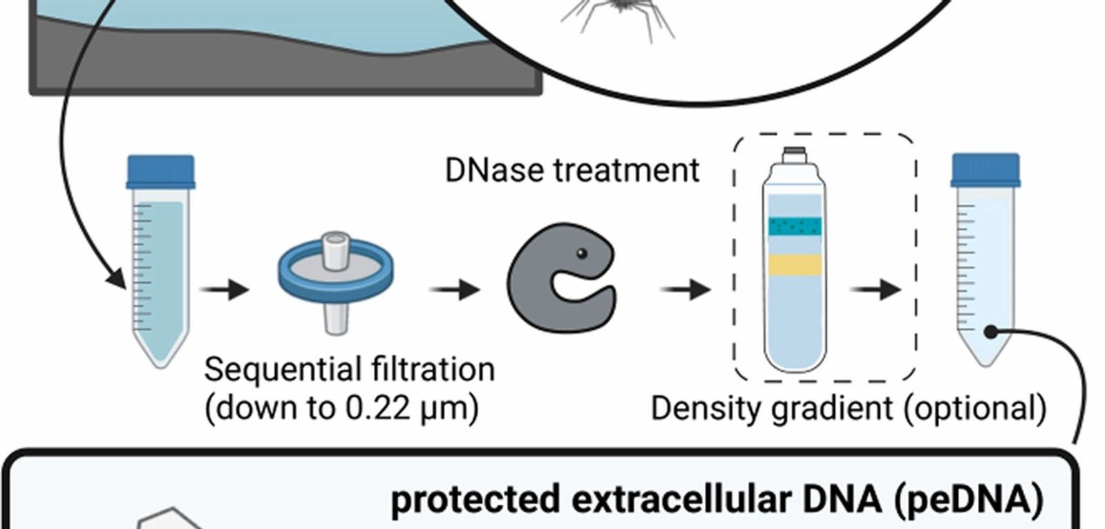 virality formula workspace setup